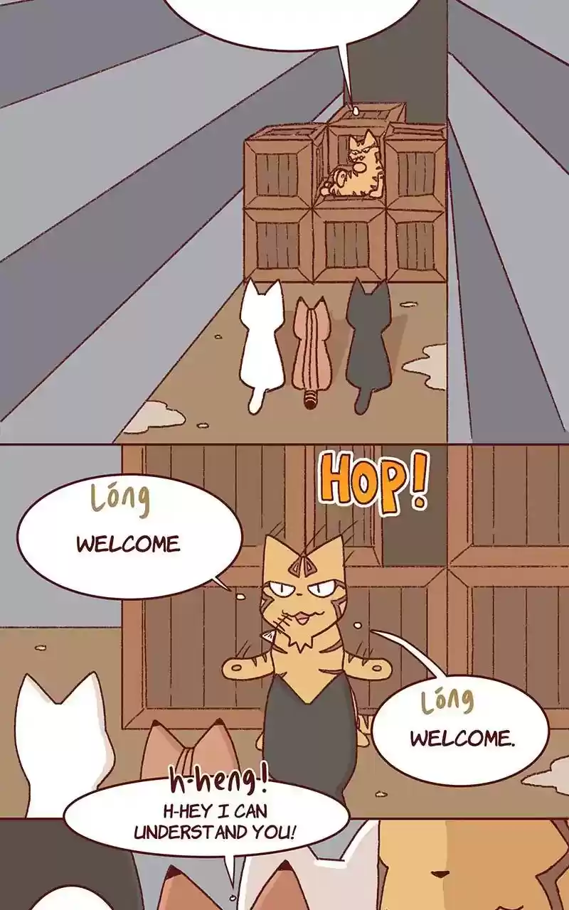 Saphie: The One-Eyed Cat Chapter 327: