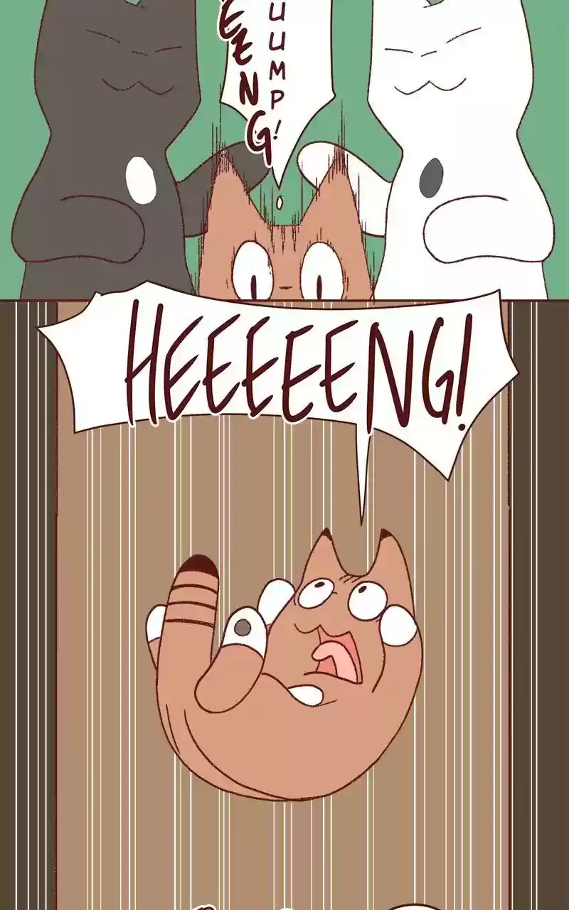 Saphie: The One-Eyed Cat Chapter 330: