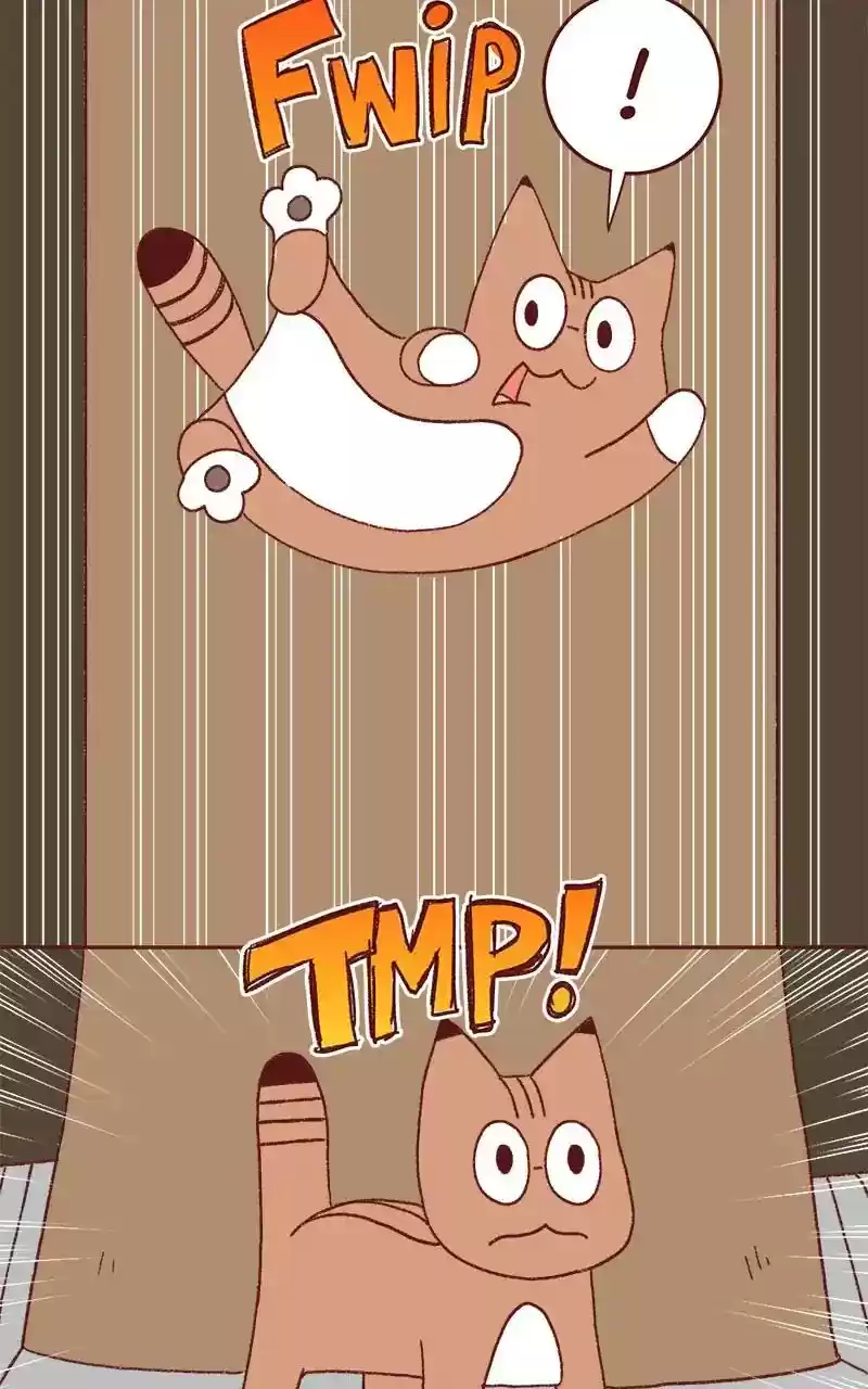 Saphie: The One-Eyed Cat Chapter 330: