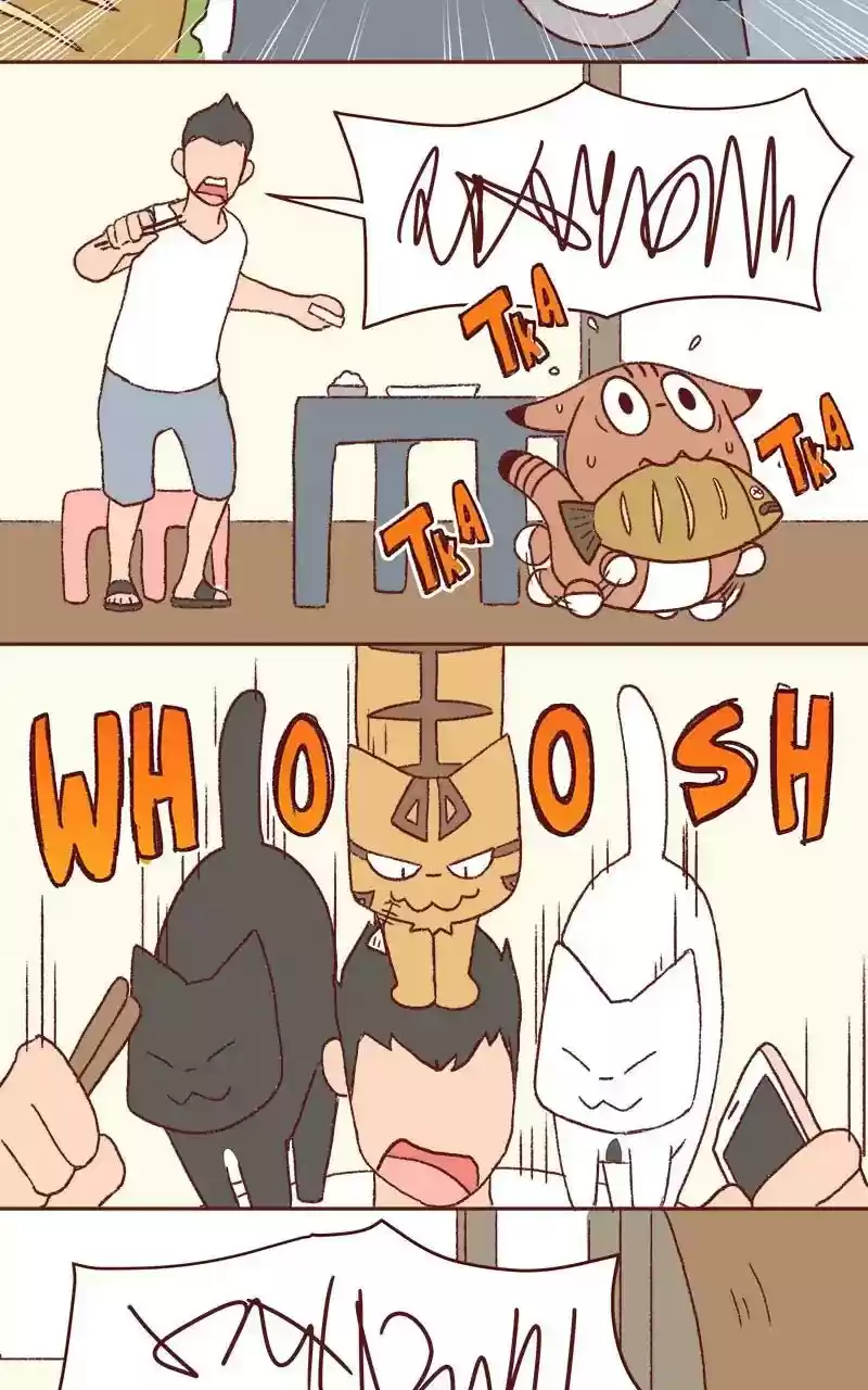 Saphie: The One-Eyed Cat Chapter 330: