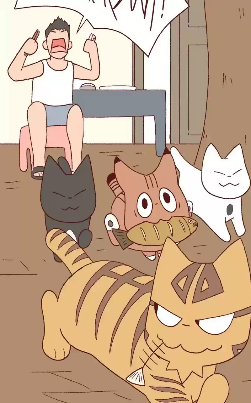 Saphie: The One-Eyed Cat Chapter 330: