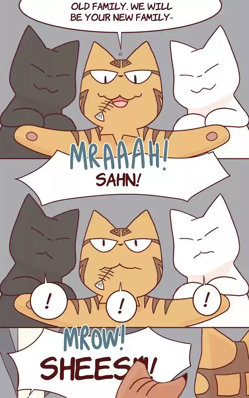 Saphie: The One-Eyed Cat Chapter 331: