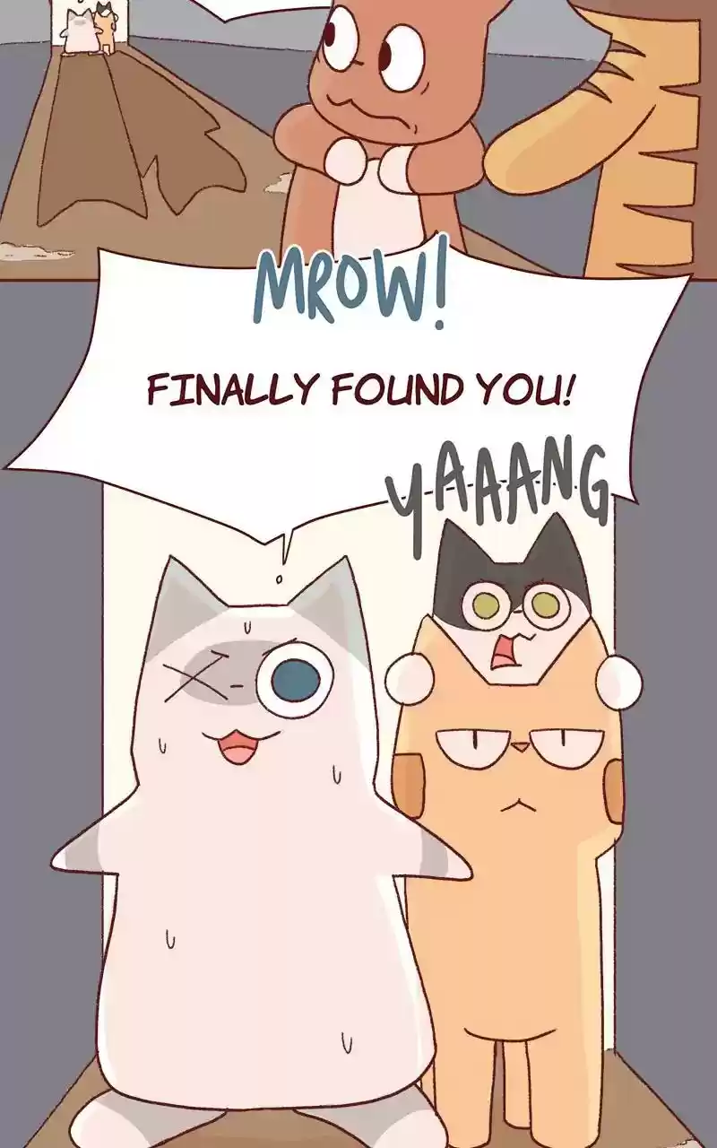 Saphie: The One-Eyed Cat Chapter 331: