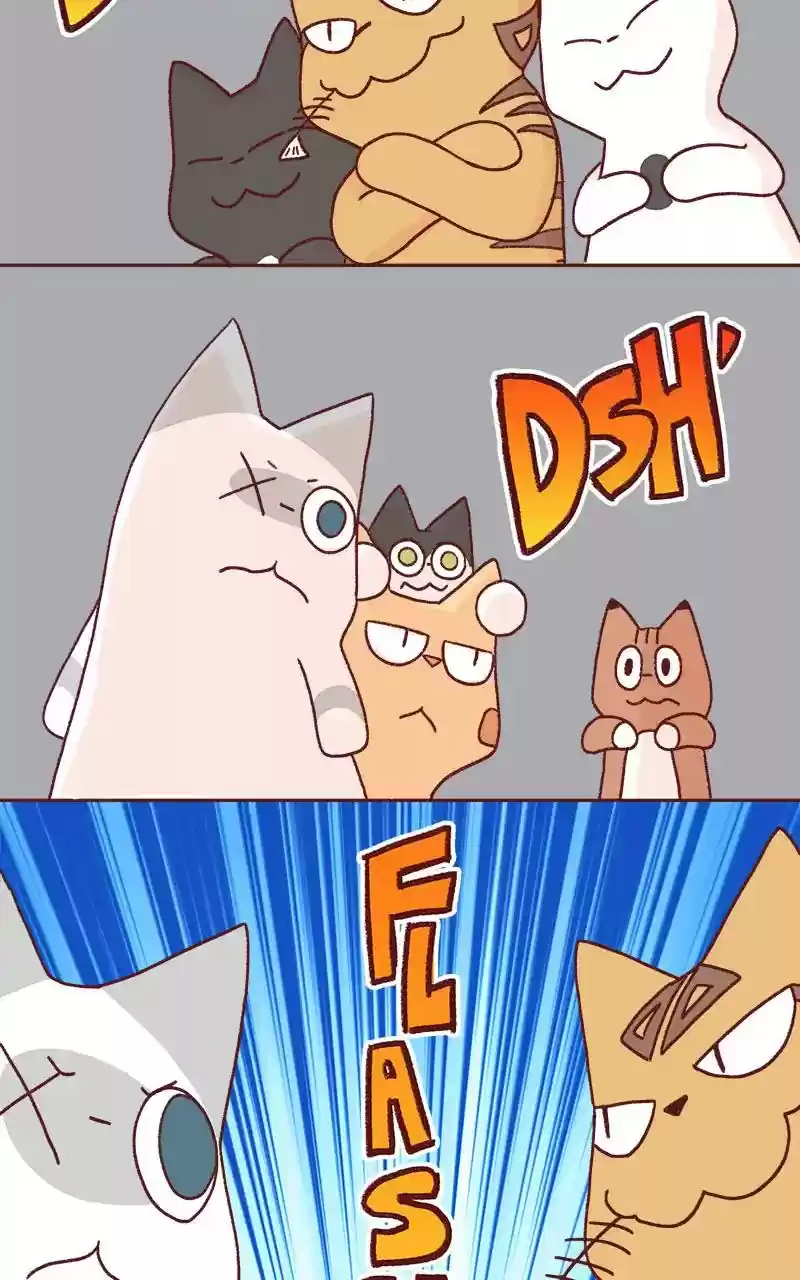 Saphie: The One-Eyed Cat Chapter 331: