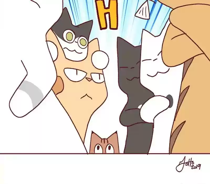 Saphie: The One-Eyed Cat Chapter 331: