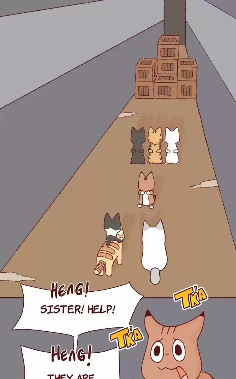 Saphie: The One-Eyed Cat Chapter 332: