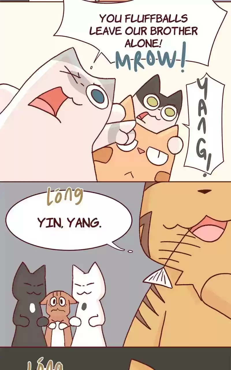 Saphie: The One-Eyed Cat Chapter 332: