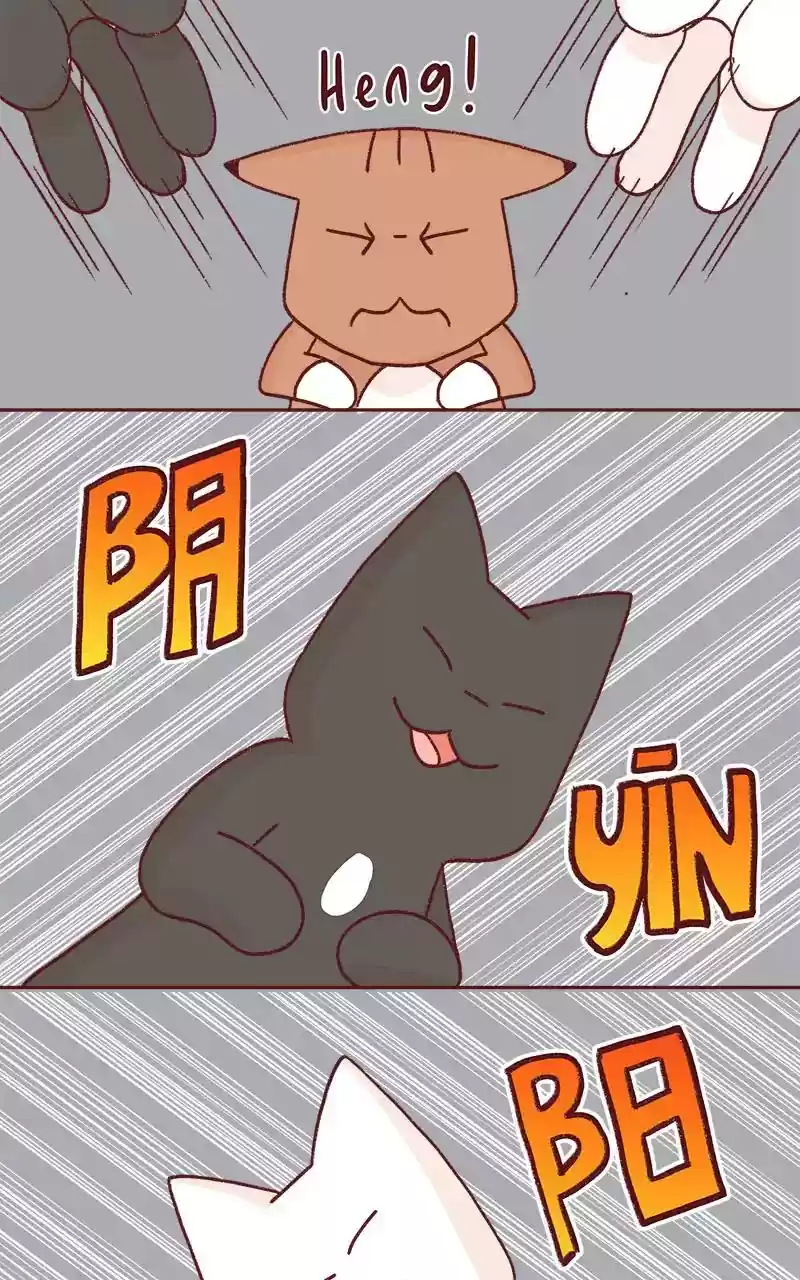 Saphie: The One-Eyed Cat Chapter 332: