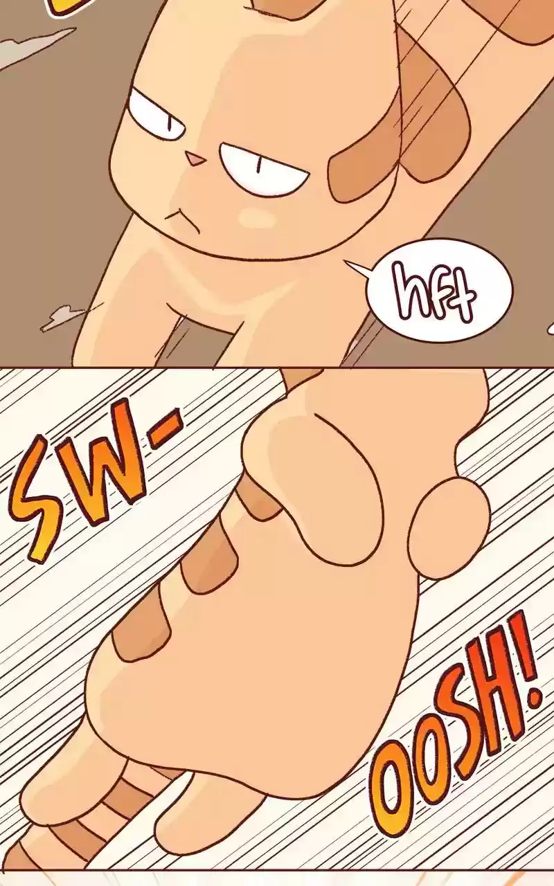 Saphie: The One-Eyed Cat Chapter 332: