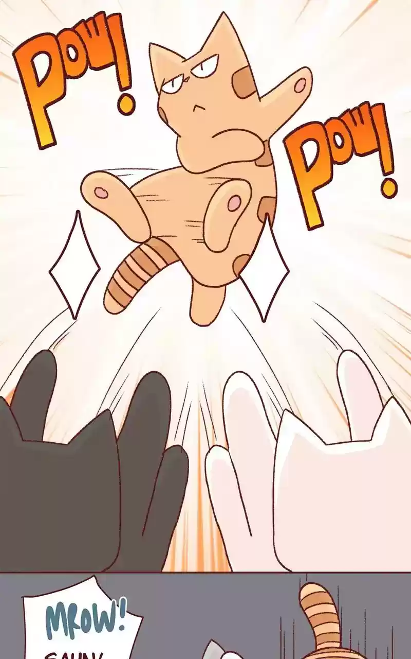 Saphie: The One-Eyed Cat Chapter 332: