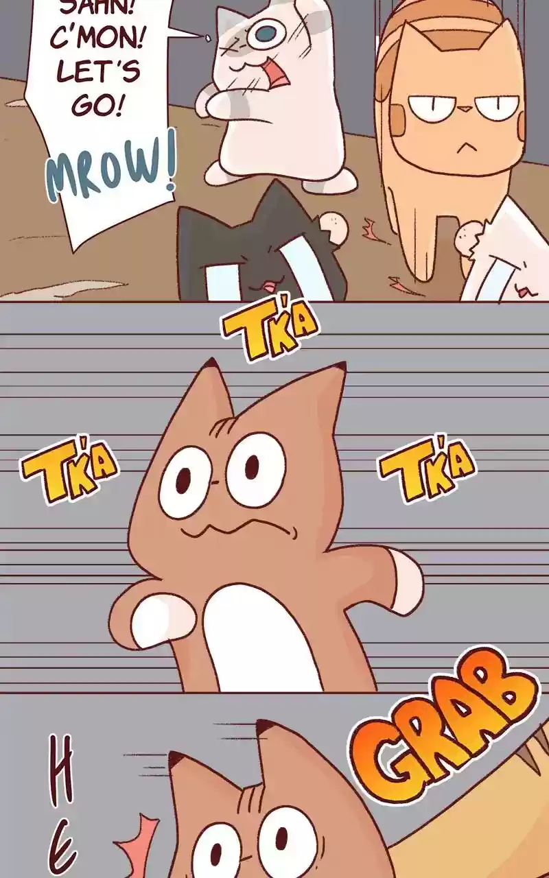 Saphie: The One-Eyed Cat Chapter 332: