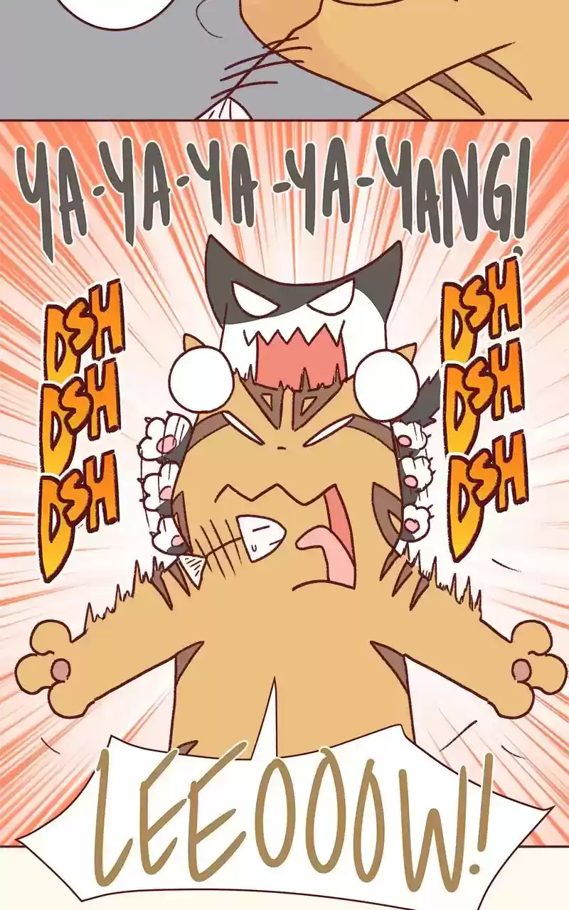 Saphie: The One-Eyed Cat Chapter 332: