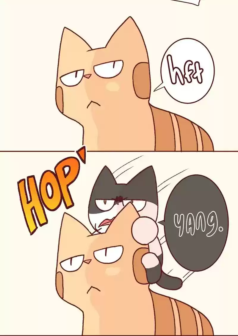 Saphie: The One-Eyed Cat Chapter 332: