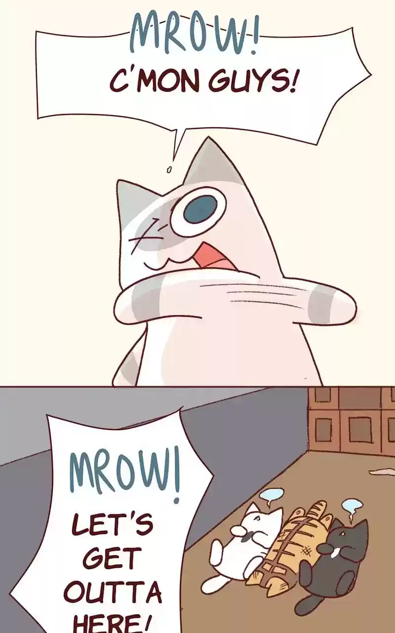 Saphie: The One-Eyed Cat Chapter 332: