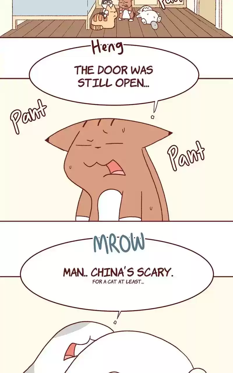 Saphie: The One-Eyed Cat Chapter 333: