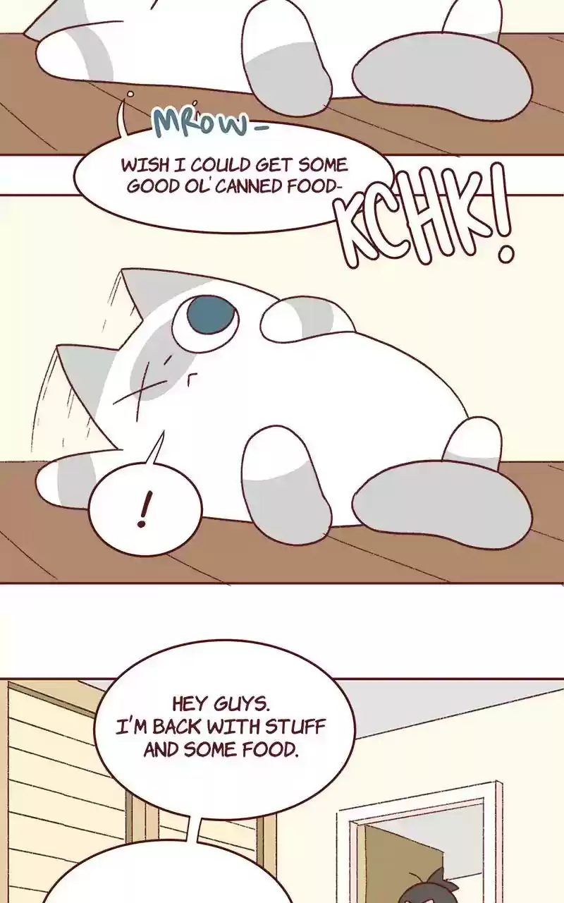Saphie: The One-Eyed Cat Chapter 333: