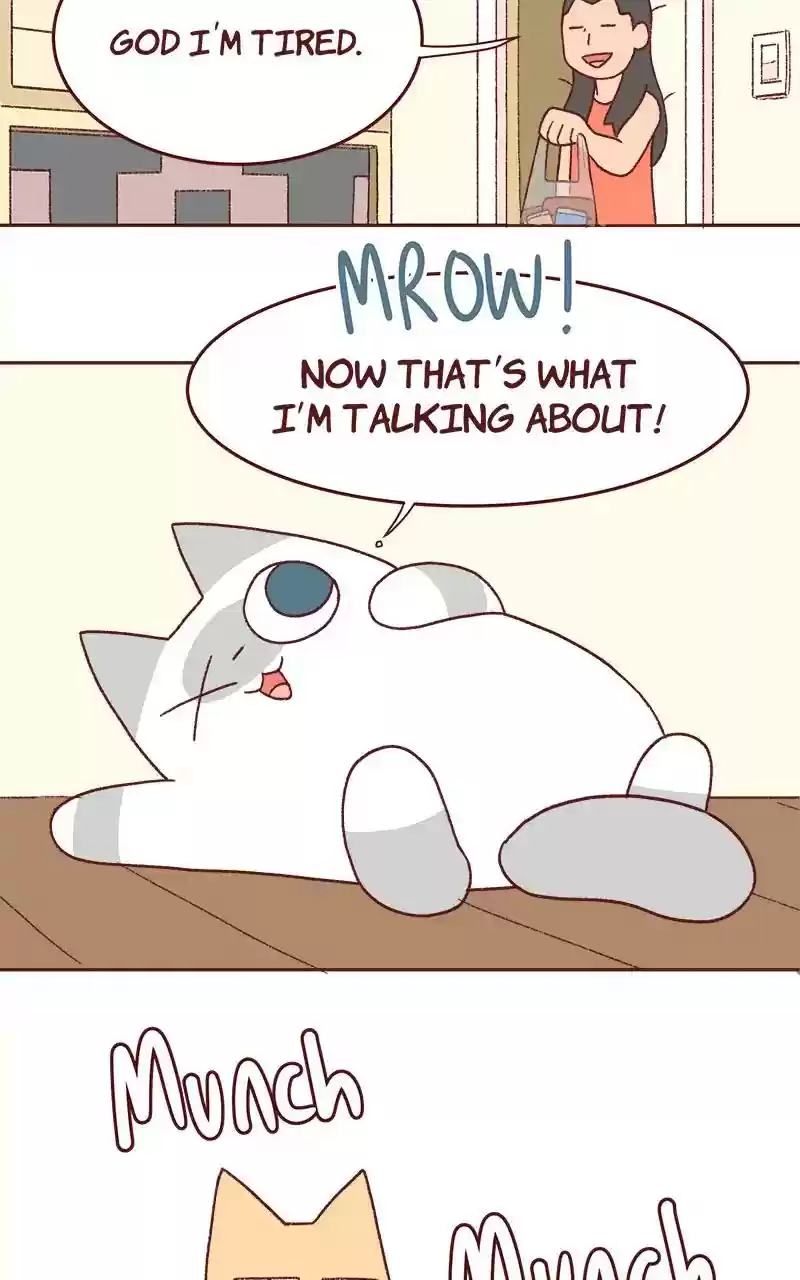 Saphie: The One-Eyed Cat Chapter 333: