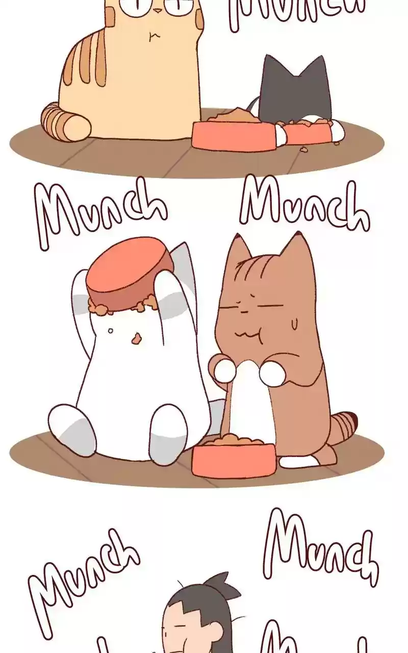 Saphie: The One-Eyed Cat Chapter 333: