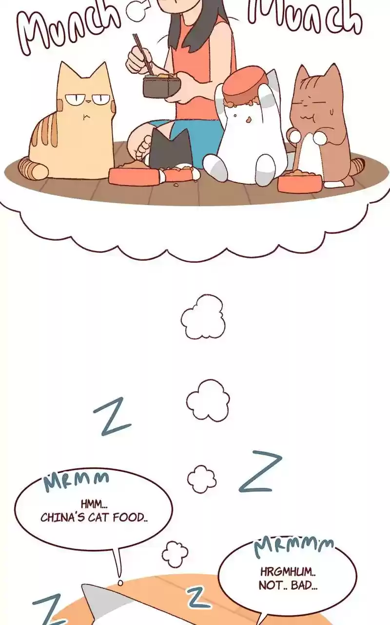 Saphie: The One-Eyed Cat Chapter 333: