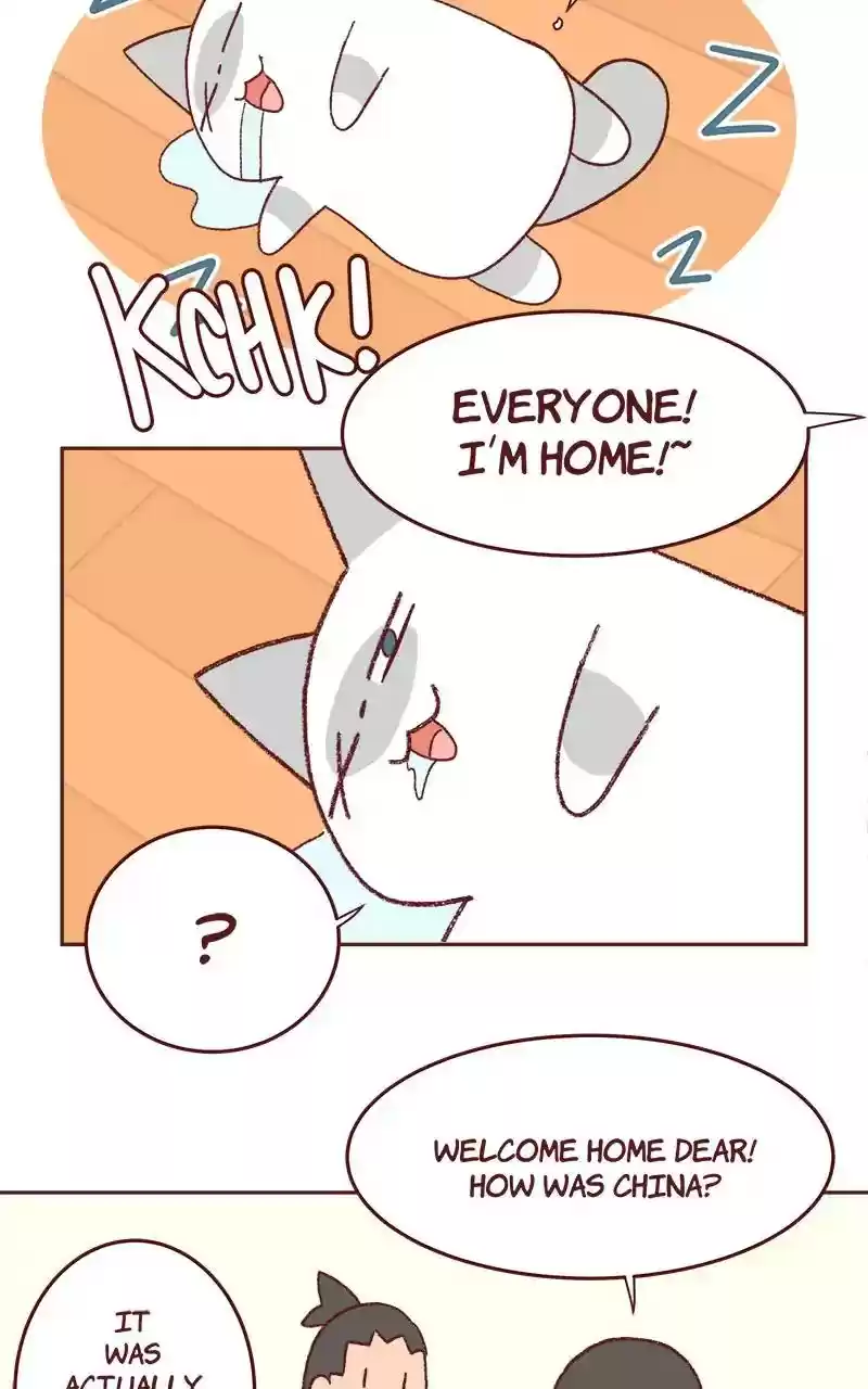 Saphie: The One-Eyed Cat Chapter 333: