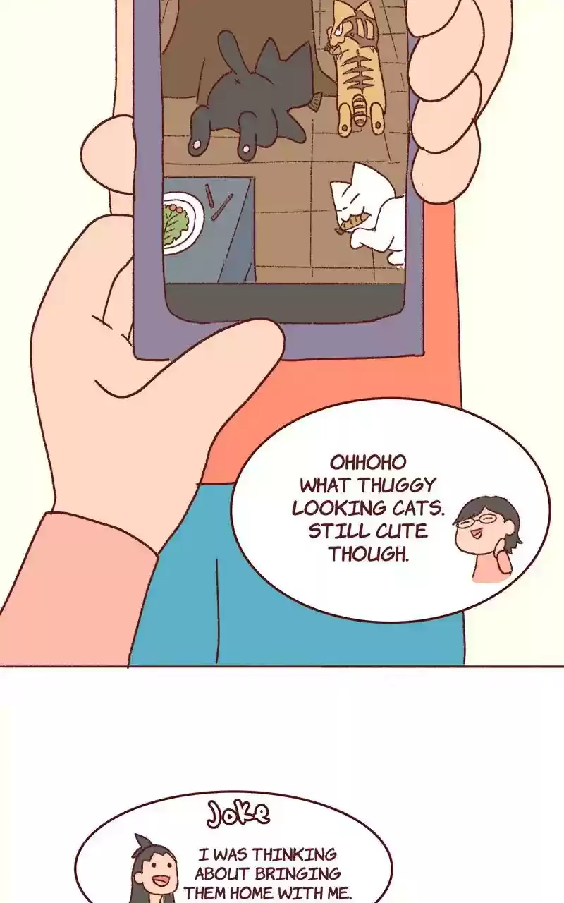 Saphie: The One-Eyed Cat Chapter 333: