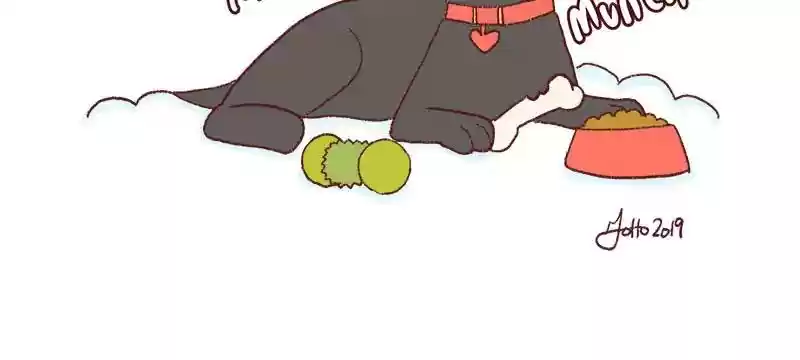 Saphie: The One-Eyed Cat Chapter 334: