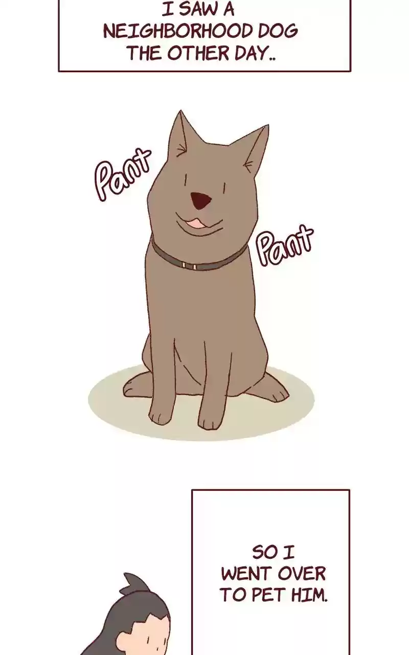 Saphie: The One-Eyed Cat Chapter 335: