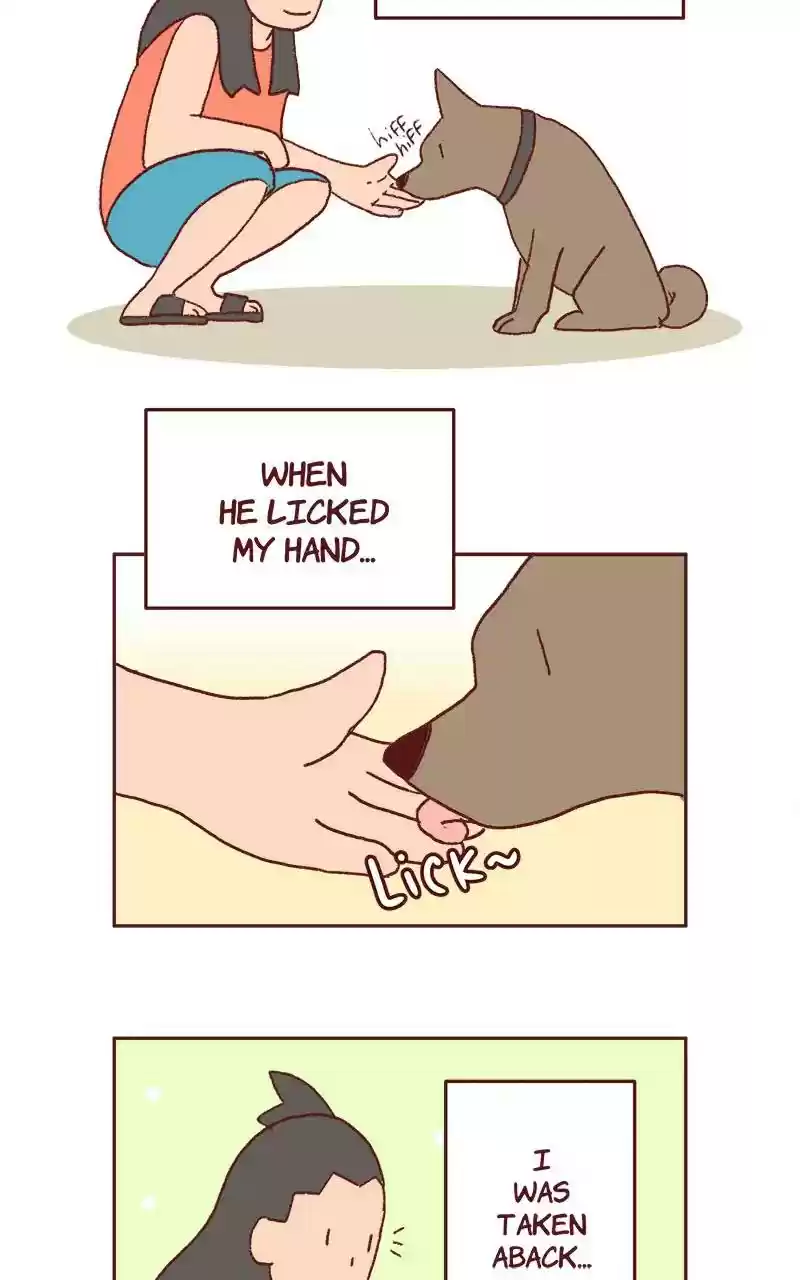 Saphie: The One-Eyed Cat Chapter 335: