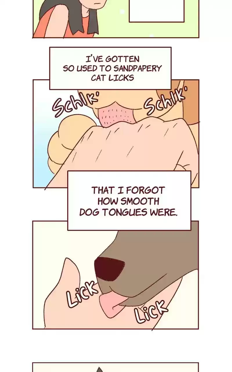 Saphie: The One-Eyed Cat Chapter 335: