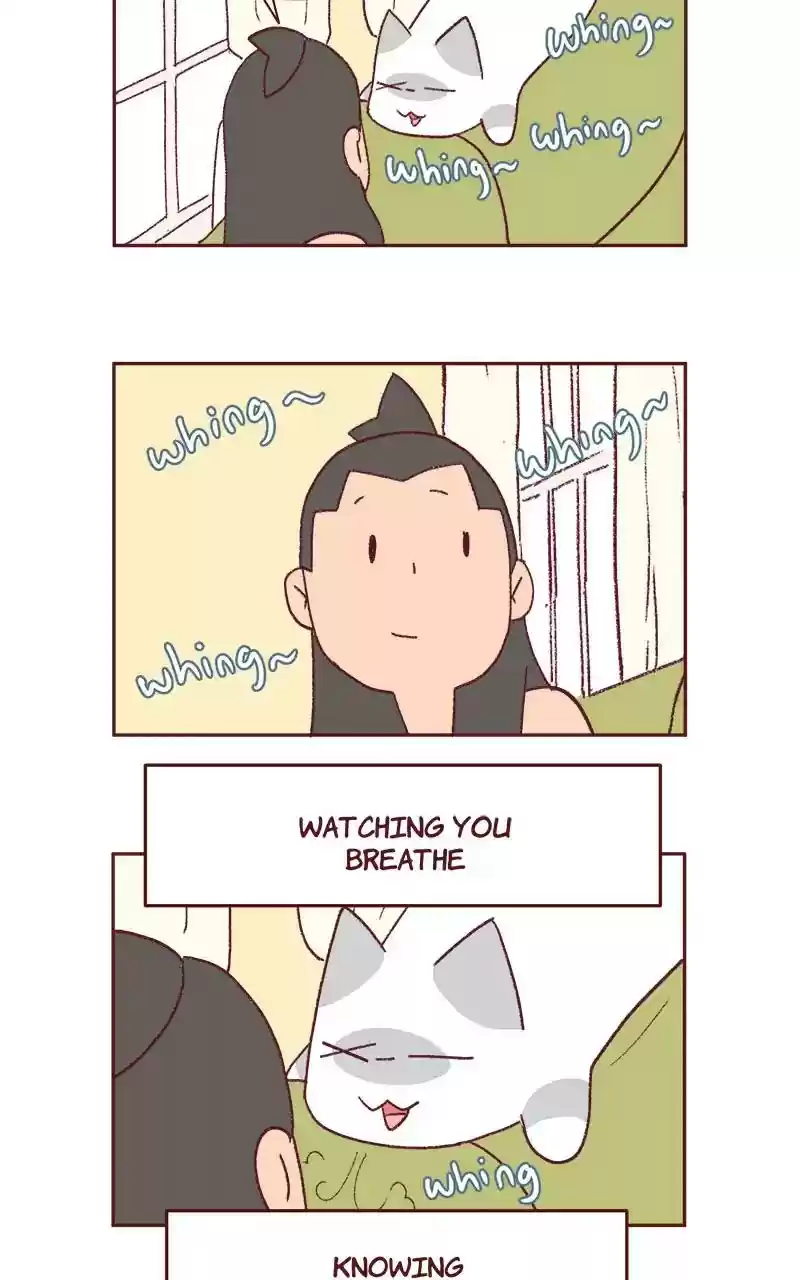 Saphie: The One-Eyed Cat Chapter 336: