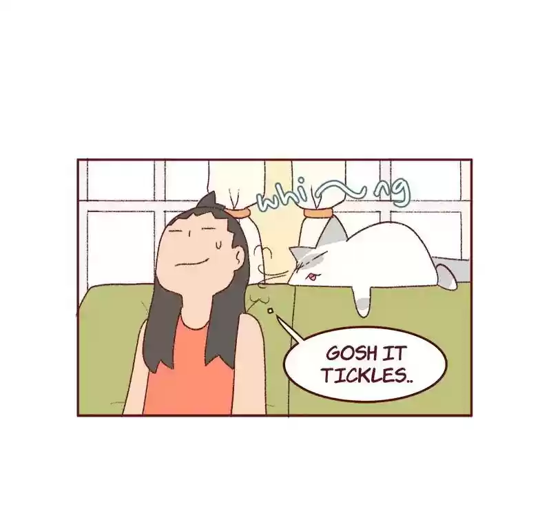 Saphie: The One-Eyed Cat Chapter 336: