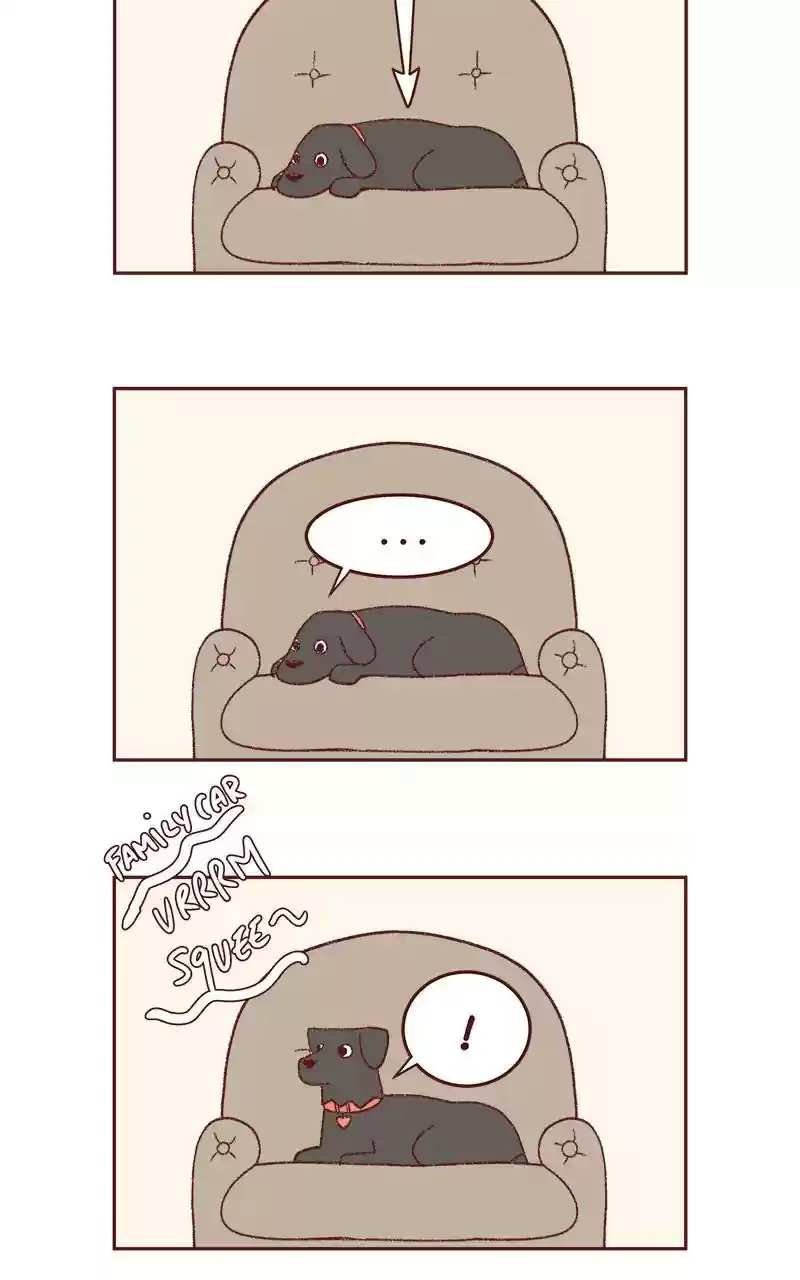 Saphie: The One-Eyed Cat Chapter 337: