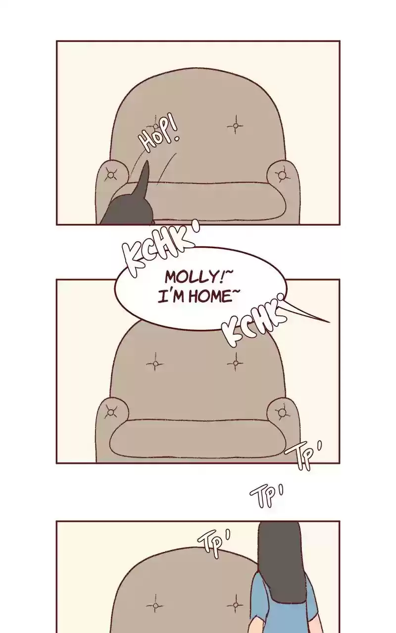 Saphie: The One-Eyed Cat Chapter 337: