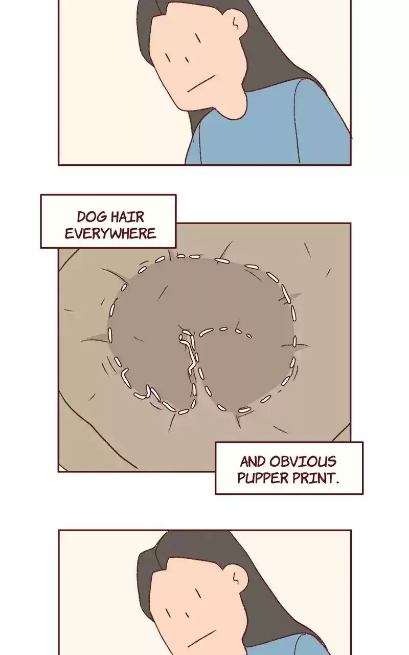 Saphie: The One-Eyed Cat Chapter 337: