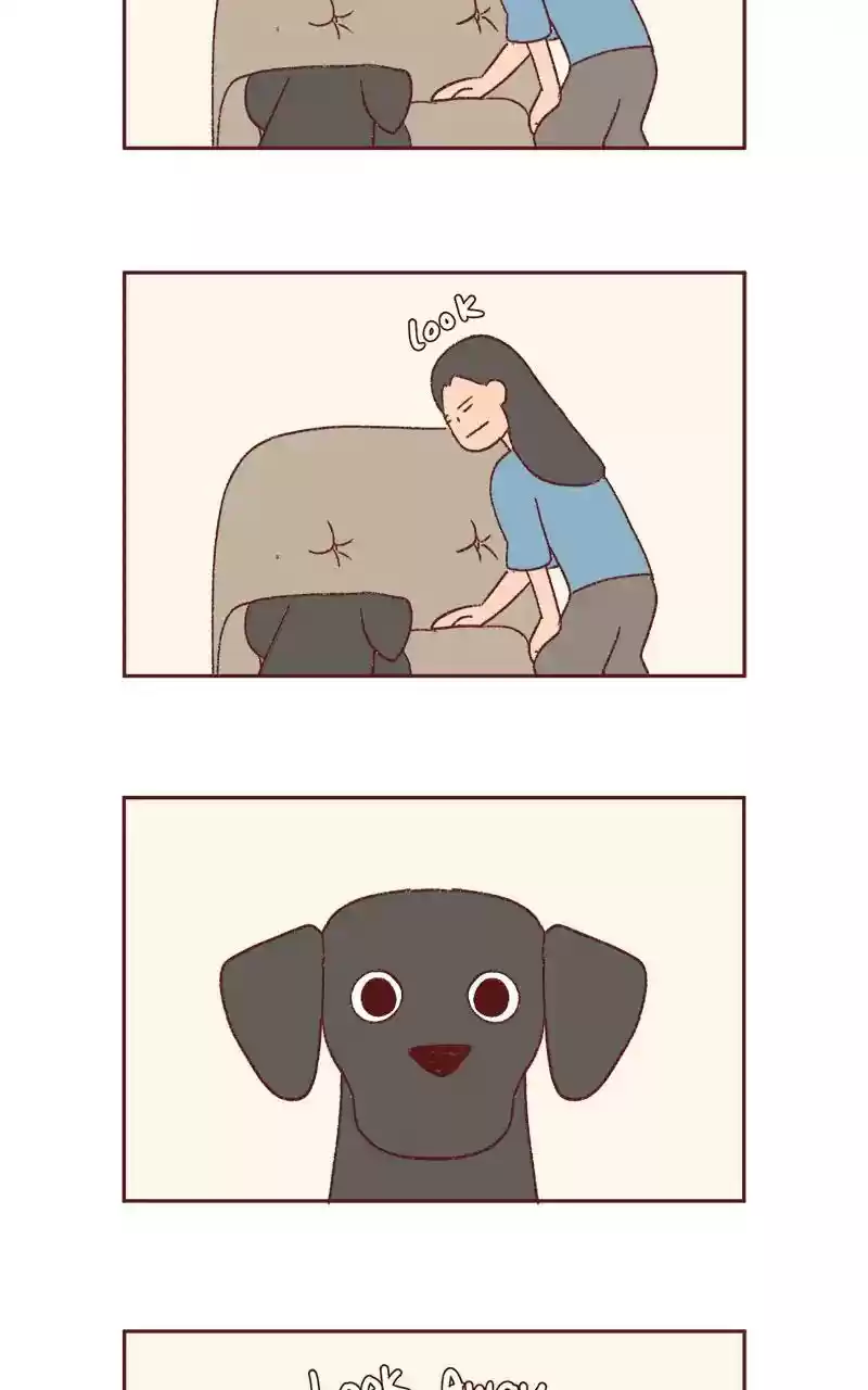 Saphie: The One-Eyed Cat Chapter 337: