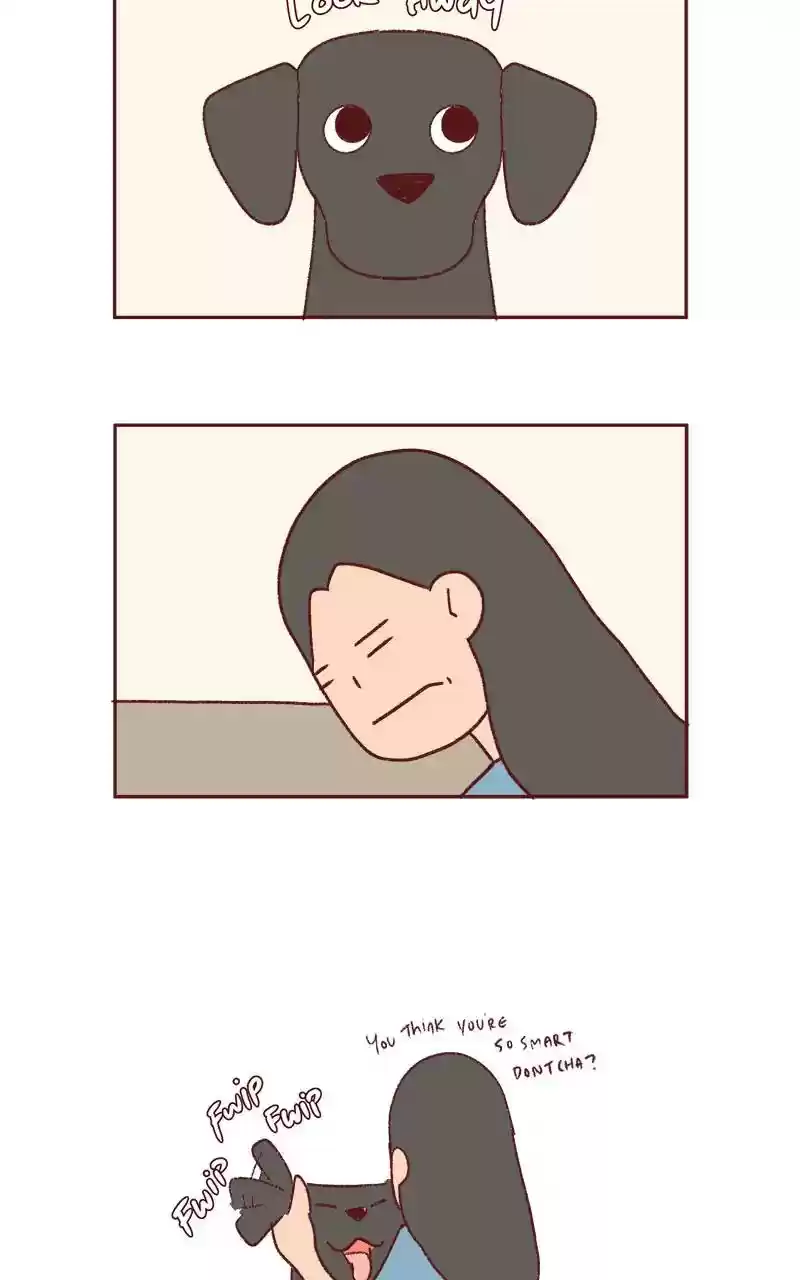 Saphie: The One-Eyed Cat Chapter 337: