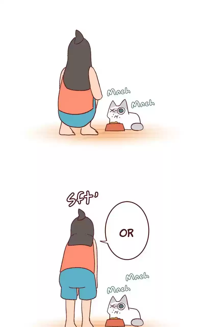 Saphie: The One-Eyed Cat Chapter 338: