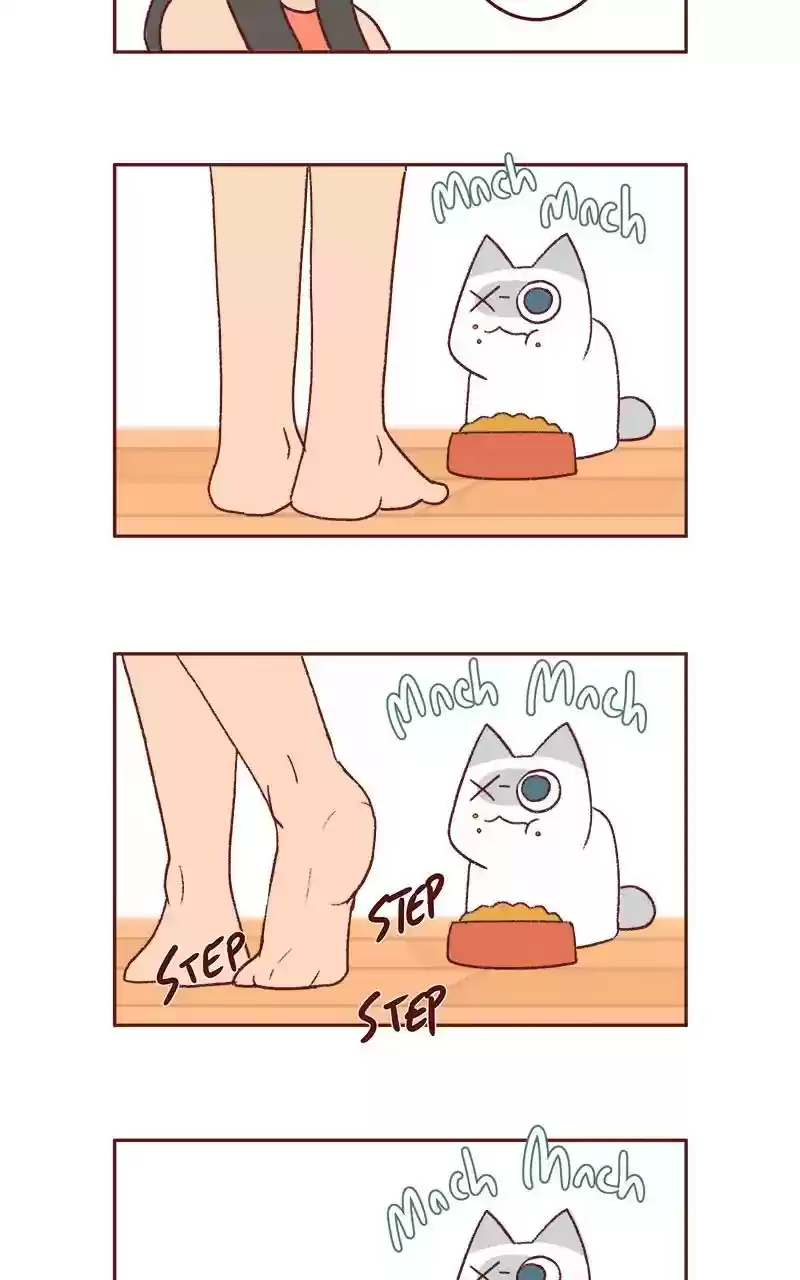 Saphie: The One-Eyed Cat Chapter 338: