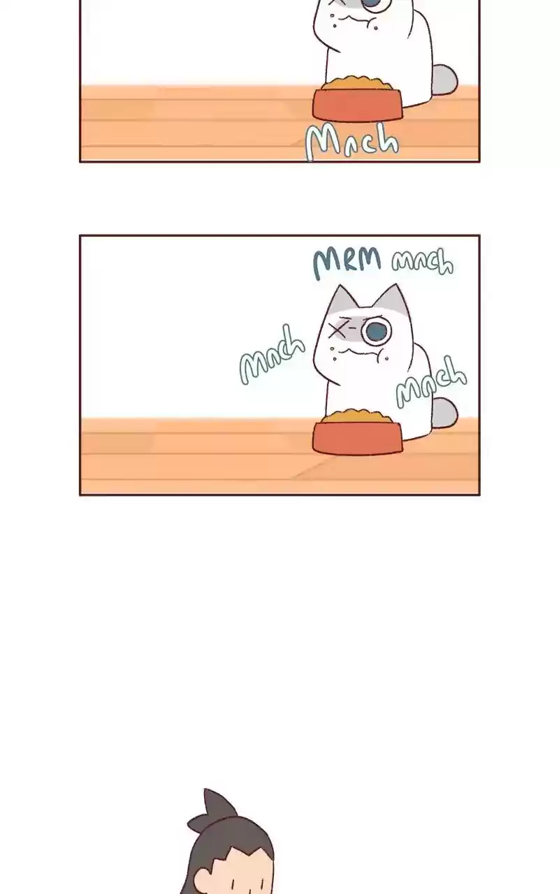 Saphie: The One-Eyed Cat Chapter 338: