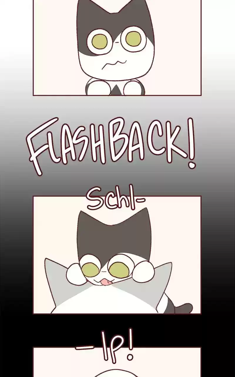 Saphie: The One-Eyed Cat Chapter 339: