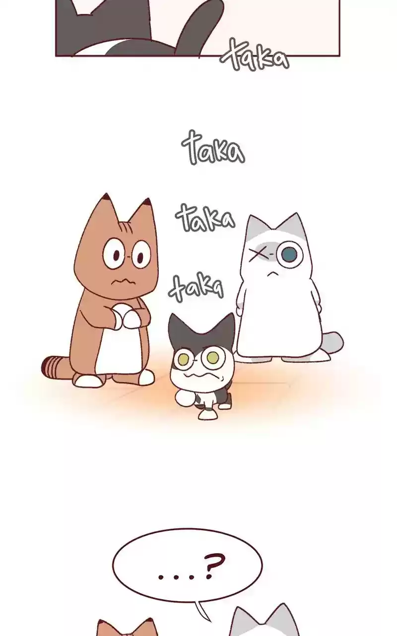 Saphie: The One-Eyed Cat Chapter 339: