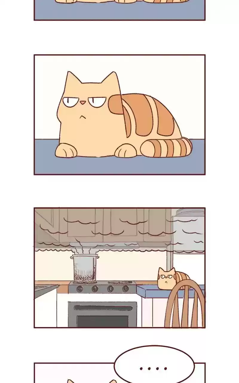 Saphie: The One-Eyed Cat Chapter 341: