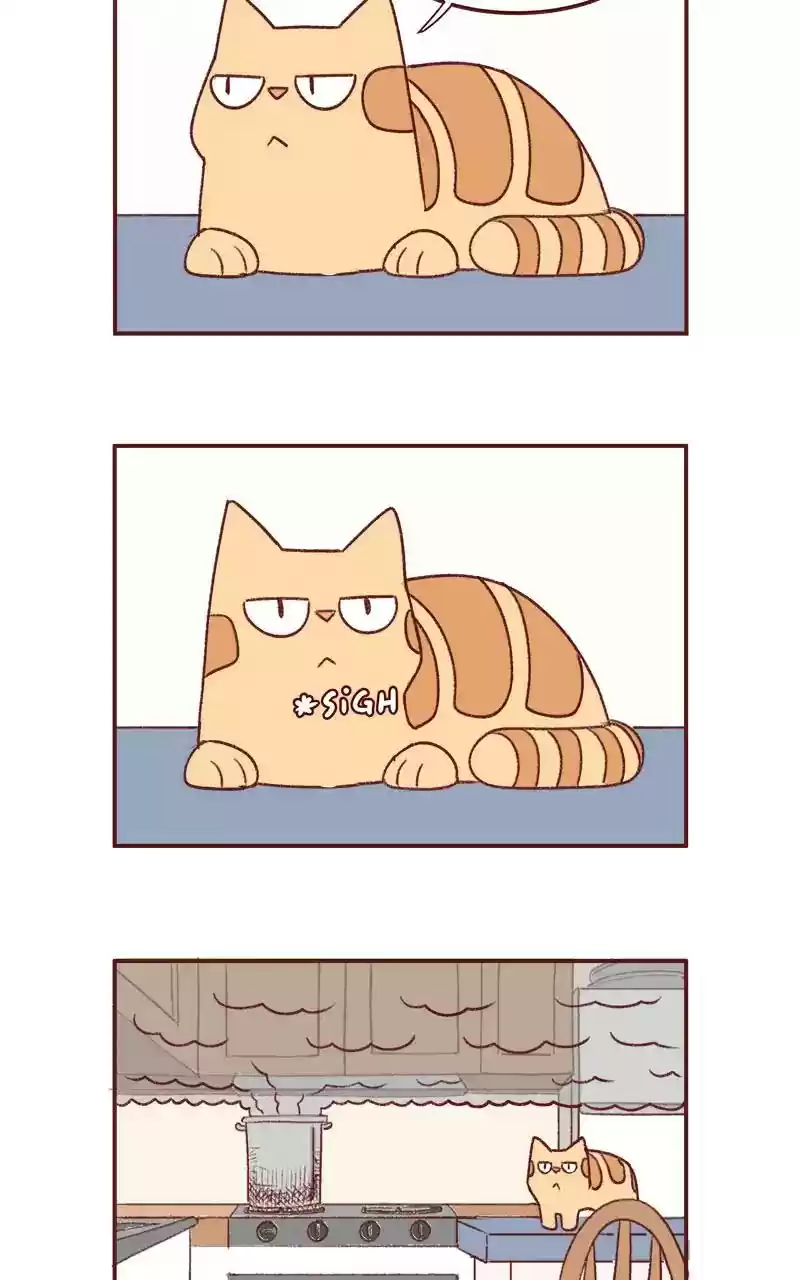 Saphie: The One-Eyed Cat Chapter 341: