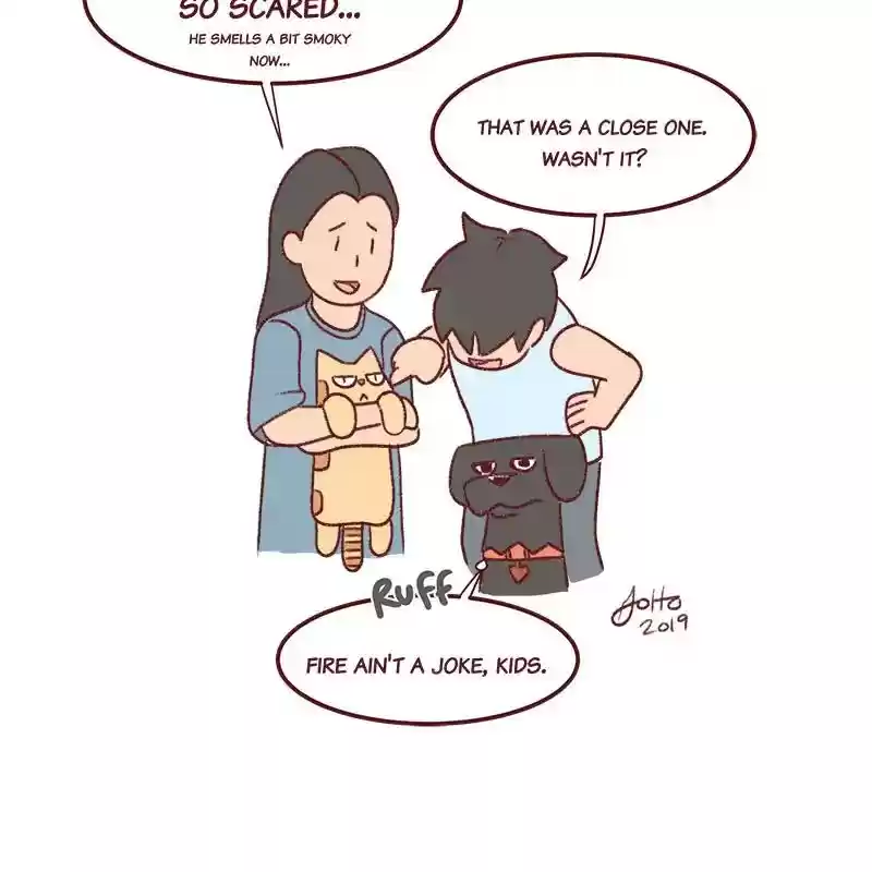 Saphie: The One-Eyed Cat Chapter 341: