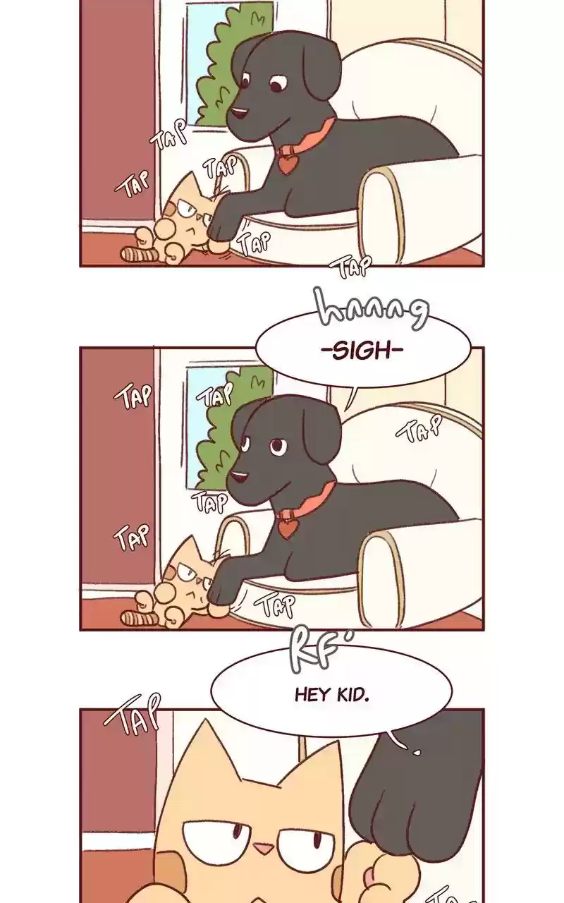 Saphie: The One-Eyed Cat Chapter 342: