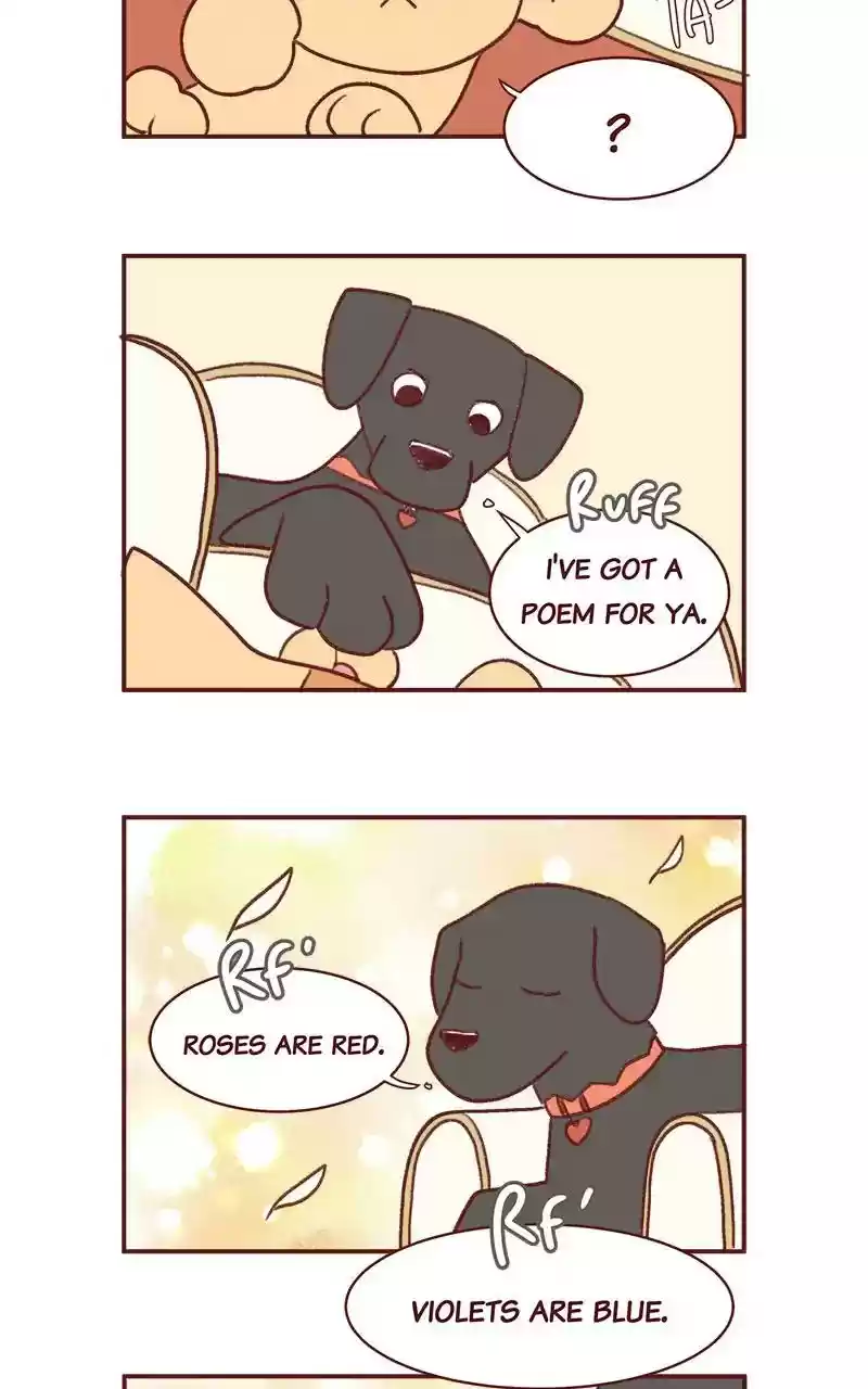 Saphie: The One-Eyed Cat Chapter 342: