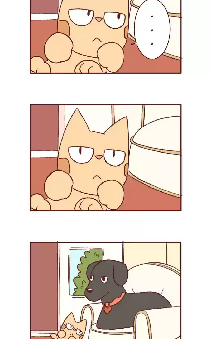 Saphie: The One-Eyed Cat Chapter 342: