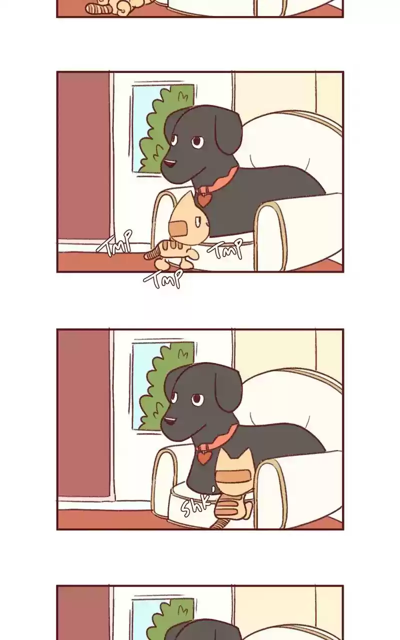 Saphie: The One-Eyed Cat Chapter 342: