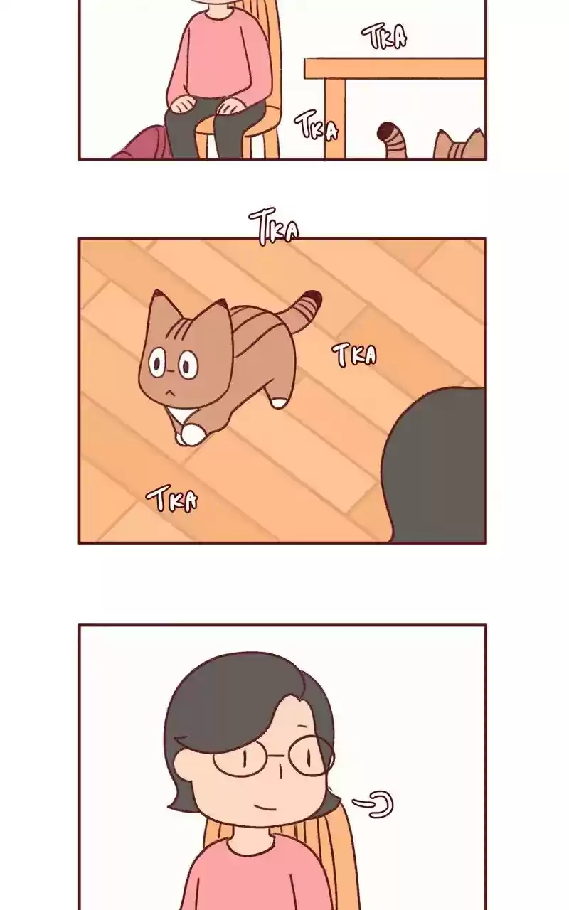 Saphie: The One-Eyed Cat Chapter 343: