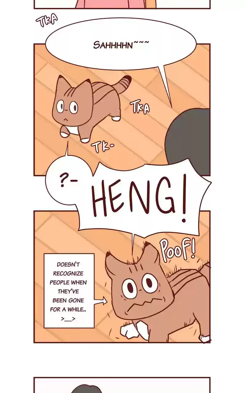 Saphie: The One-Eyed Cat Chapter 343: